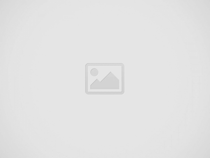 ブッシュクラフトで斧が必要な理由